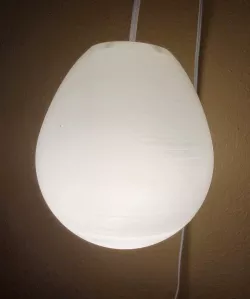 Egg Lamp Shade