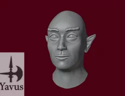 Elven Male Head for Kitbashing
