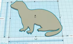 Ferret Outline