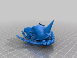 Final Project