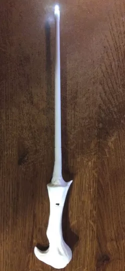 Light Up Wand - Voldemort Wand