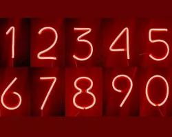 Neon Flex Number Shells