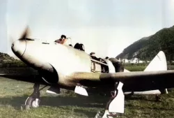Piaggio P.119  1/48th scale model