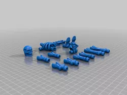 Skeleton 