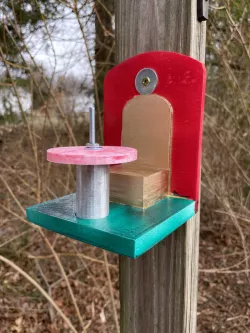 Squirrel cafe