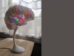 Brain lamp pyschedelic