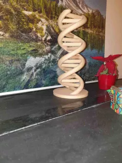 DNA scale model revised