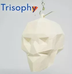 Low poly skull