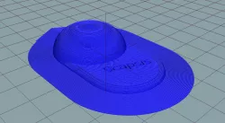 Cap from Scapsis
