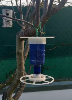 Comedero aves con botella de agua