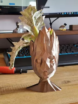 Groot succulent planter