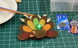 Light-up Turkey Pins