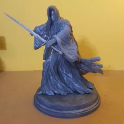 lord of the rings Ring Wraith