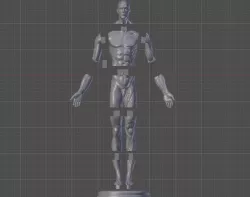 Male Anatomy Reference, 1:3 Scale (Remix - See Description)