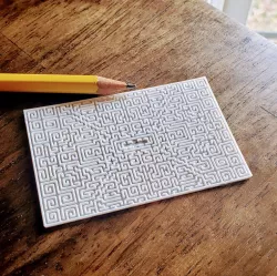 Maze from The Shining