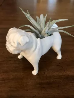 Pug Planter