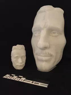 The Vase Face - Tesla / Einstein - Hollow Face Illusion