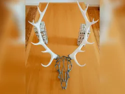 Wire Skull Deer