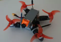 2 inch Birdbone Drone