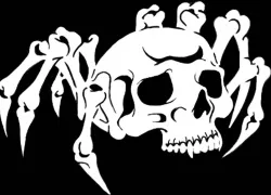 2D Spider Skull