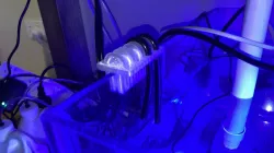 Aquarium Dosing Hose Guide