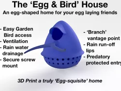Bird & Egg (House)