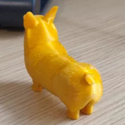 corgi
