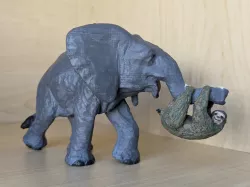 Elephant and Sloth
