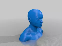 Full bust version Printable mannequin head with shoudlers