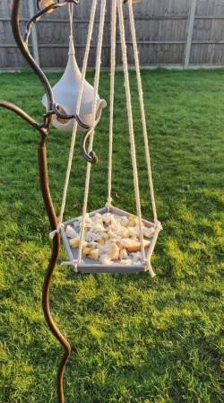 Hanging Bird Feeder