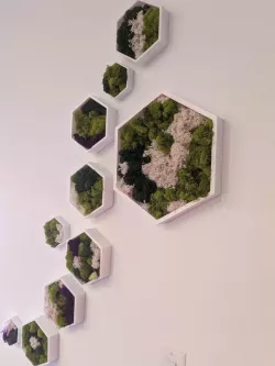 Hex Wall Box