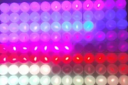 Ping Pong Pixel Matrix Builder