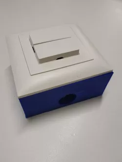 Plug socket case for wall mount