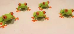Red eyed tree frog multicolor with magnet