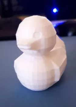 Rubber Duck