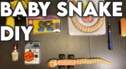 Copperhead Battlebot Baby Snake