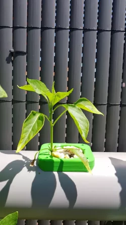 Modular Hydroponic System