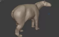 Moropus 