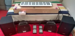 Ondes framboise - a digital Ondes Martenot emulator