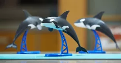 Orca 