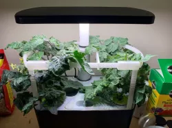 Plants Support for Aerogarden Harvest (2018 edition)