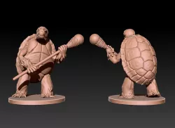 Tortle Wizard for Tabletop RPG Fantasy Games