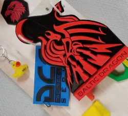 Baltic Dragon DCS Logo