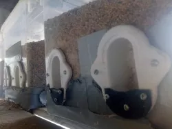 Bird Feeder (Anti spill)