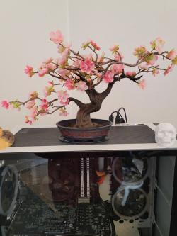 3D Printable Sakura tree bonsai by NEMO_MK2