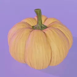 Flat Cheese Pumpkin 