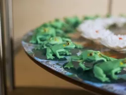 Frogs 3D Zoetrope animation (goes in a 4-Mation machine)