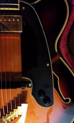 Guitar Bridge & Pickguard