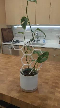 Hexagon Plant Trellis