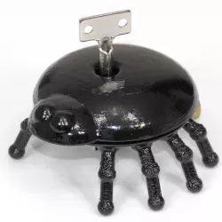 Jumping Bug Spider